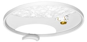 Brilagi - LED димируемо таванно осветително тяло ASTRO LED/20W/230V 3000-6000K astronaut+ дистанционно управление