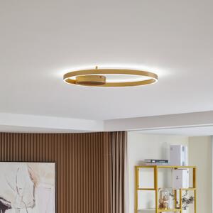 Lucande Smart LED осветление за таван Moise, златисто, CCT, Tuya, Затъмняване, Злато / месинг, Дневна/трапезария, Алуминий, Модерен