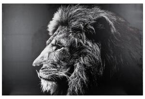 Картина atmosphera Lion, Принт на платно 78x118 см