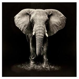 Картина atmosphera Elephant, Принт на платно 100x100 см