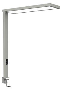 Maul LED лампа с щипка MAULsenja, сребриста, сензор, димер, CCT, Затъмняване, Металик, кабинет / офис, Алуминий, Модерен