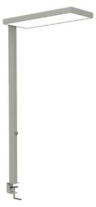 Maul LED лампа с щипка MAULjura, сребриста, регулируема яркост, 100 cm, Затъмняване, Металик, кабинет / офис, Алуминий, Модерен