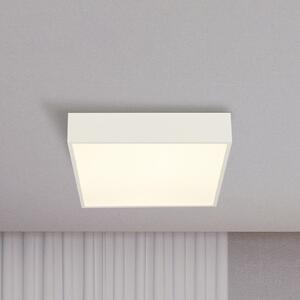 Searchlight LED лампа за баня Zeus, бяла, дължина 30 cm, метал, Бял, Баня, Алуминий, Модерен