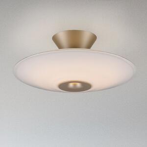 Paul Neuhaus LED таванска лампа Elipsa, бяла/бронзова, Ø 35 cm, Затъмняване, Бронзов / античен месинг, Дневна/трапезария, Стъкло