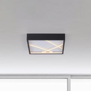 JUST LIGHT. GmbH LED таванска лампа Mikado, 30 x cm, черна, Затъмняване, Черен, Дневна/трапезария, Метал, Модерен