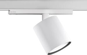Ivela LED релсов прожектор Perfetto Puro, 3-фазен, бял, 940, Бял, Коридор, Метал, Модерен