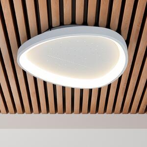 Näve LED таванска лампа Argesa Ø 60,5 cm, бяла, CCT, дистанционно управление, Затъмняване, Бял, Дневна/трапезария, Метал, Модерен