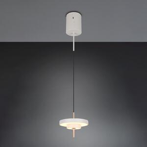 Trio Lighting LED висяща лампа Keaton, светлосива, Ø 20 cm, метал, CCT, Затъмняване, Сив, Дневна/трапезария, Метал