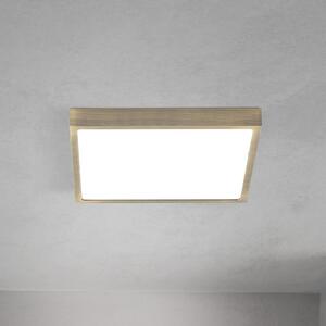 ORION LED плафон Disc, цвят античен месинг, дължина 24 cm, CCT, Затъмняване, Бронзов / античен месинг, Дневна/трапезария, Алуминий, Модерен