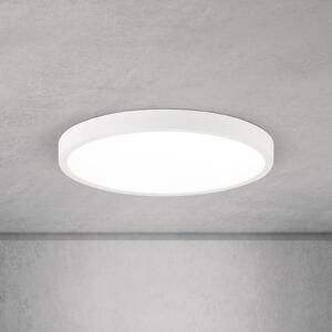 ORION LED таванска лампа Disc, бяла Ø 28 cm, CCT, метал/пластмаса, Затъмняване, Бял, Дневна/трапезария, Алуминий, Модерен