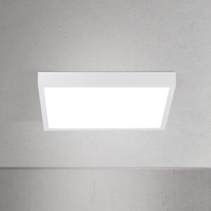 ORION LED плафон Disc, бял, дължина 24 cm, CCT, метал, Затъмняване, Бял, Дневна/трапезария, Алуминий, Модерен