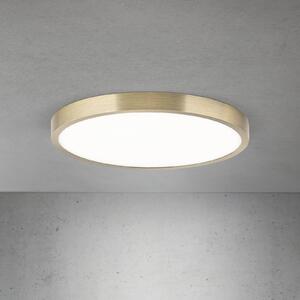 ORION LED плафон Disc, цвят античен месинг, Ø 28 cm, CCT, Затъмняване, Бронзов / античен месинг, Дневна/трапезария, Алуминий, Модерен