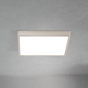 ORION LED плафон Disc, никелов цвят, сатиниран, дължина 24 cm CCT, Затъмняване, Металик, Дневна/трапезария, Алуминий, Модерен