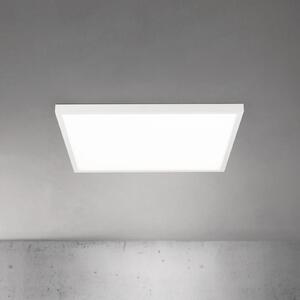 ORION LED плафон Disc, бял, дължина 60 cm, CCT, метал, Затъмняване, Бял, Дневна/трапезария, Алуминий, Модерен