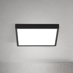 ORION LED плафон Disc, черен, дължина 24 cm, CCT метал, Затъмняване, Черен, Дневна/трапезария, Алуминий, Модерен