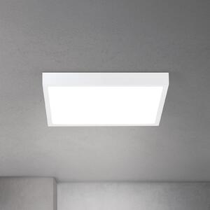 ORION LED таванска лампа Disc, бяла Дължина 40 cm CCT Метал/пластмаса, Затъмняване, Бял, Дневна/трапезария, Алуминий, Модерен