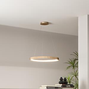 Luce Ambiente Design LED висяща лампа Niike, златист цвят, Ø 50 cm, метал, CCT, Злато / месинг, Дневна/трапезария, Метал, Модерен