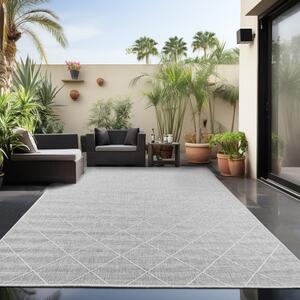 Килим Zagora V2 Grey 120 x 170cm