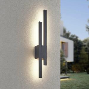 Trio Lighting LED лампа за външна стена TAWA, антрацит, 62 cm метал 2-крилна IP54, Черен, Алуминий, Модерен