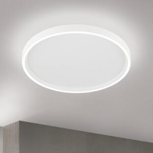 ORION LED таванска лампа Masca, бяла, Ø 40 cm, CCT, метал, с димер, Затъмняване, Бял, Дневна/трапезария, Метал, Модерен