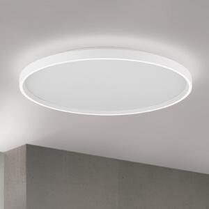 ORION LED плафон Masca, бял, Ø 60 cm, CCT, метал, с димер, Затъмняване, Бял, Дневна/трапезария, Метал, Модерен