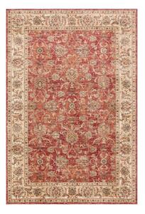 Червен килим 120x160 cm Raja – Asiatic Carpets
