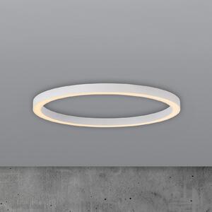 PURE LED таванска лампа Lines, Ø 70 cm, бяла, CCT дистанционно управление, Затъмняване, Бял, Дневна/трапезария, Метал, Модерен