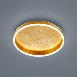 Helestra Sona LED осветление за таван с възможност димиране Ø40cm злато, Затъмняване, Злато / месинг, Коридор, Метал, Модерен