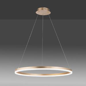 Paul Neuhaus LED висяща лампа Titus, Ø 80 cm, месинг, с възможност за димиране, Затъмняване, Злато / месинг, Дневна/трапезария, Метал, Модерен