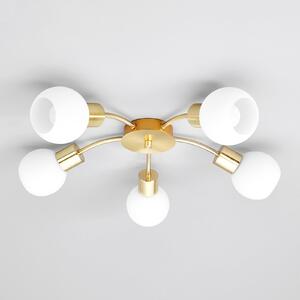 Lindby Лампа за таван Elaina, Ø54cm, 5 светлини, месинг, стъкло, E14, Затъмняване, Злато / месинг, Дневна/трапезария, Метал, Модерен
