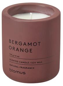 BLOMUS Ароматна свещ FRAGA размер S - цвят Cedar Wood - аромат Bergamot Orange