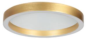 Steinhauer LED таванска лампа Ringlux, златист цвят, Ø 30 cm, метал, 2700 K, Затъмняване, Злато / месинг, Дневна/трапезария, Метал, Модерен