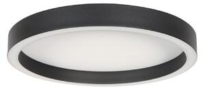 Steinhauer LED таванска лампа Ringlux, черна, Ø 30 cm, метал, 2700 K, Затъмняване, Черен, Дневна/трапезария, Метал, Модерен