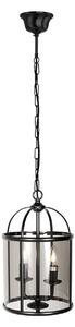 Steinhauer Висяща лампа Pimpernel, Ø 23 cm, черна, стъкло в цвят димно сиво, Затъмняване, Черен, Коридор, Метал, Античен