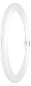 LED Флуоресцентна тръба G10q/18,3W/230V 6500K - Osram
