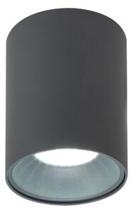 Brilagi - Спот TRINE 1xGU10/30W/230V антрацит