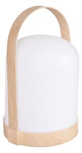 LED RGBW Декоративна настолна лампа MINORKA LED/0,3W/4,5V 3xAA