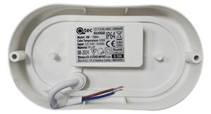 LED външно таванно осветително тяло LED/8W/230V 4200K IP64 бяло