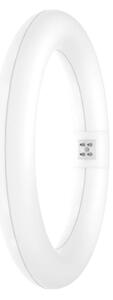 LED Флуоресцентна тръба SUBSTITUBE T9 G10q/12W/230V 4000K Ø 21,2 см - Osram