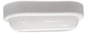 LED външно таванно осветително тяло LED/8W/230V 4200K IP64 бяло