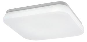 Rabalux 77134-LED Таванно осветително тяло LOWAR за баня LED/12W/230V IP44 3000/4000/6000K