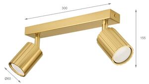 Brilagi - Точково осветително тяло CRISPINA 2xGU10/10W/230V златно