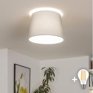 Brilagi - LED таванна лампа CERIA 1xE27/40W/230V Ø 30 см сива