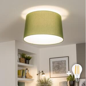 Brilagi - LED повърхностно монтиран полилей CERIA 1xE27/40W/230V Ø 45 см, зелен