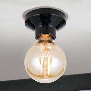 Orion - Плафонно осветително тяло FROST 1xE27/60W/230V черно