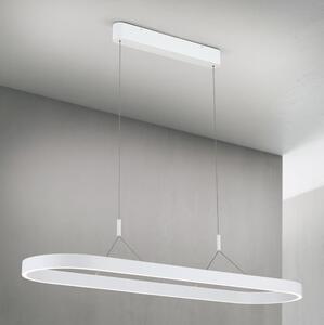 Orion - LED полилей на кабел CARRARA LED/80W/230V 2700/3000/4000K бял