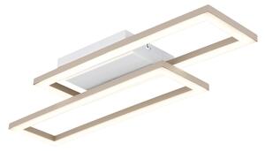 Globo 67381-16 - LED таванно осветително тяло WILTON LED/16W/230V 3000/4000/6000K