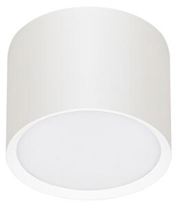 Brilagi - LED Точково осветително тяло SMOOTH 1xGX53/15W/230V бяло