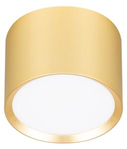 Brilagi - LED Точково осветително тяло SMOOTH 1xGX53/15W/230V златисто