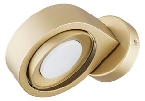 Argon 8899 - Настенно осветително тяло LOTUS 1xGX53/12W/230V златисто